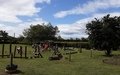 20250703_110424.jpg