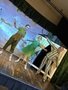 IMG_1378.jpeg