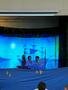 IMG_1354.jpeg