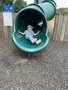 IMG_1741.JPG