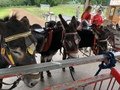 IMG_1744.JPG