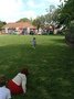 IMG_2187.JPG