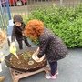 IMG_2296.JPG