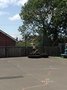 IMG_2320.JPG