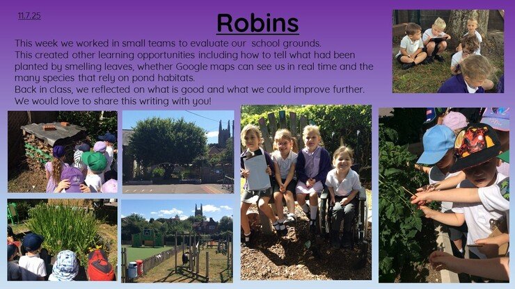Robins 11.7.25 1.jpg