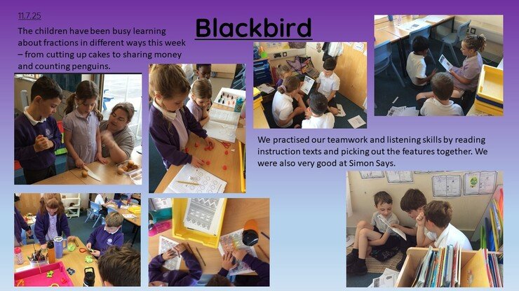 Blackbirds 11.7.25 1.jpg
