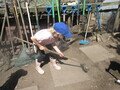 IMG_3527.JPG