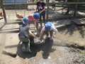IMG_3529.JPG