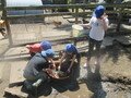 IMG_3531.JPG