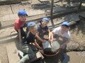 IMG_3533.JPG