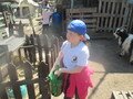 IMG_3535.JPG
