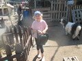 IMG_3536.JPG
