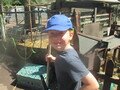 IMG_3537.JPG