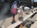 IMG_3545.JPG