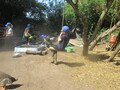 IMG_3546.JPG