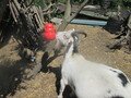 IMG_3557.JPG