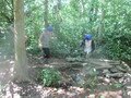 IMG_3560.JPG