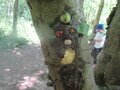 IMG_3568.JPG