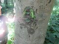 IMG_3573.JPG
