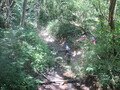 IMG_3586.JPG