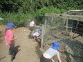 IMG_3615.JPG