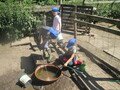 IMG_3616.JPG