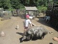 IMG_3626.JPG