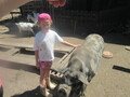IMG_3627.JPG