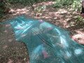 IMG_3655.JPG