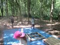 IMG_3656.JPG
