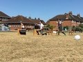 IMG_7875.JPG