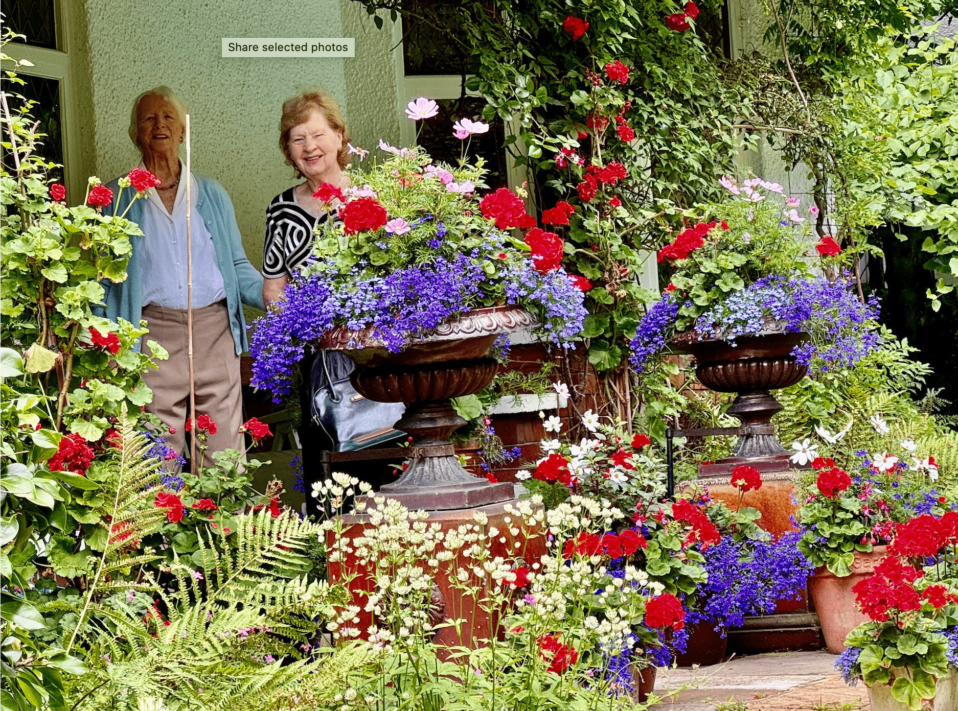 Herbert 2025 garden