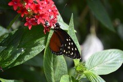 DSC_3823.JPG