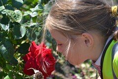 DSC_3876.JPG