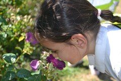 DSC_3891.JPG