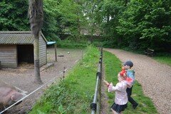 DSC_2366.JPG
