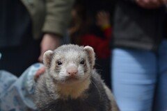 DSC_2525.JPG