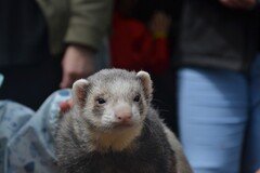 DSC_2526.JPG