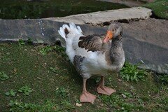 DSC_2625.JPG