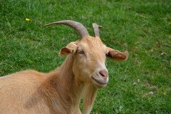 DSC_2629.JPG