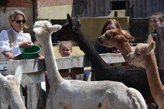 DSC_2735.JPG