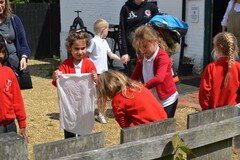DSC_2782.JPG