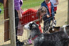 DSC_2832.JPG