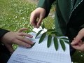 100_0332.JPG