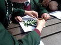 100_0334.JPG
