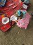 IMG_8284.JPG