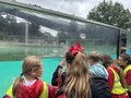 IMG_1460.jpeg
