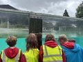 IMG_1462.jpeg
