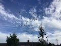 IMG_6470.jpeg