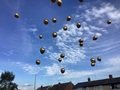 IMG_6467.jpeg